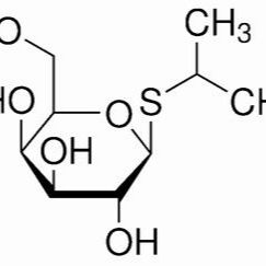 367-93-1/	 异丙基-β-D-硫代半乳糖苷,	超纯，99%