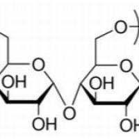 9050-36-6/ 麦芽糊精, BR