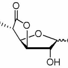 32449-92-6/ D-葡萄糖醛酸内酯 ,高纯，99%