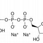 102129-65-7/ 5'-二磷酸葡萄糖腺苷二钠盐 ,BR，93%