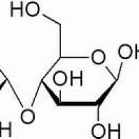 6363-53-7/	 麦芽糖一水合物 ,	BR，98%