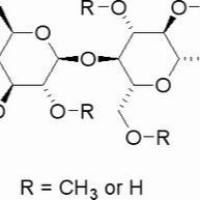 9004-67-5/ 甲基纤维素 , 高纯,粘度1600Mpa.s