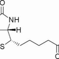 35013-72-0/ N-羟基琥珀酰亚胺生物素 , BR,98%