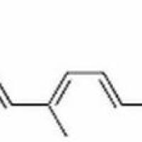 68-26-8/维生素A , BR,95%