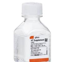 HT Supplement (100X)