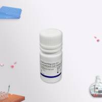 CellCounting-Lite 2.0 Luminescent Cell Viability Assay (基于荧光素酶系统的细胞活力检测试剂)( DD1101)