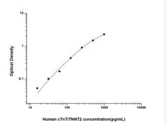 Human cTnT/TNNT2(Troponin T Ty