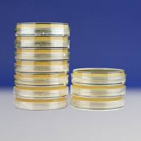 BCYE-CYS琼脂平板（9cm）