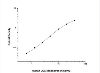Human LOX(Lysyl Oxidase) ELISA