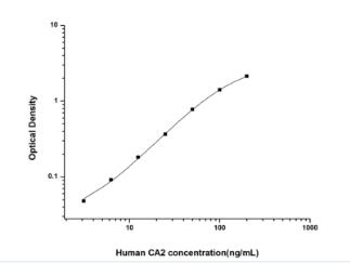 Human CA2(Carbonic Anhydrase Ⅱ
