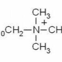 1119-94-4/ 十二烷基三甲基溴化铵 ,高纯,99%