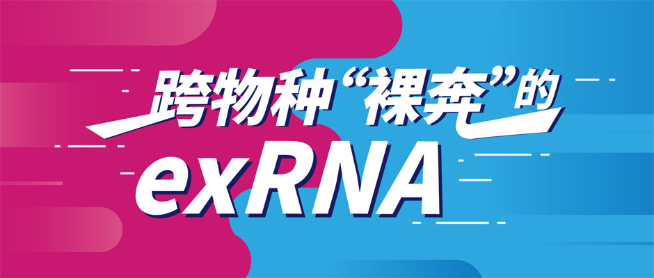 exRNA实现跨物种转移