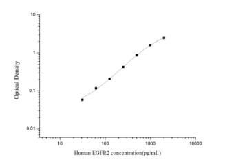 Human EGFR2(Epidermal Growth F