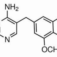 738-70-5/	 甲氧苄啶 ,	99%