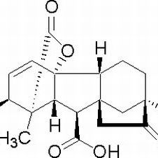 77-06-5/ 赤霉素GA3 ,高纯，98%