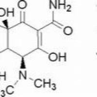 24390-14-5/	 盐酸强力霉素,	ACS级，95-102%