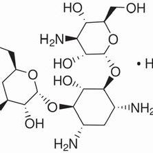 25389-94-0/卡那霉素硫酸盐 ,USP级，750u/mg