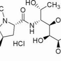 859-18-7/	 盐酸林可霉素,BR，≥850mcg/mg