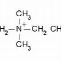 14933-08-5/	 3-(N,N-二甲基十二烷基铵)丙烷磺酸盐,	高纯，98%