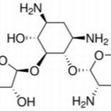 53797-35-6/	 硫酸核糖霉素,	USP级，660U/mg