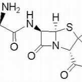 69-52-3/ 氨苄青霉素钠 ,USP级，845～988mcg/mg