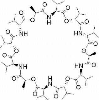 2001-95-8/	 缬氨霉素,高纯，97%