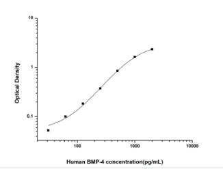 Human BMP-4(Bone Morphogenetic