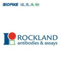 Rockland品牌及优势
