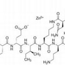 1405-89-6/ 杆菌肽锌 ,USP级，70u/mg