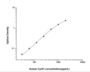 Human Cyr61(Cysteine Rich Prot