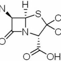 551-16-6/ 6-氨基青霉素酸 . BR,98%