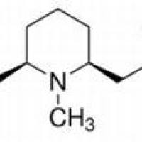 134-63-4/ 盐酸洛贝林, BR,98%