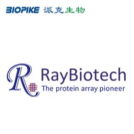 RayBiotech中国区代理-派克生物