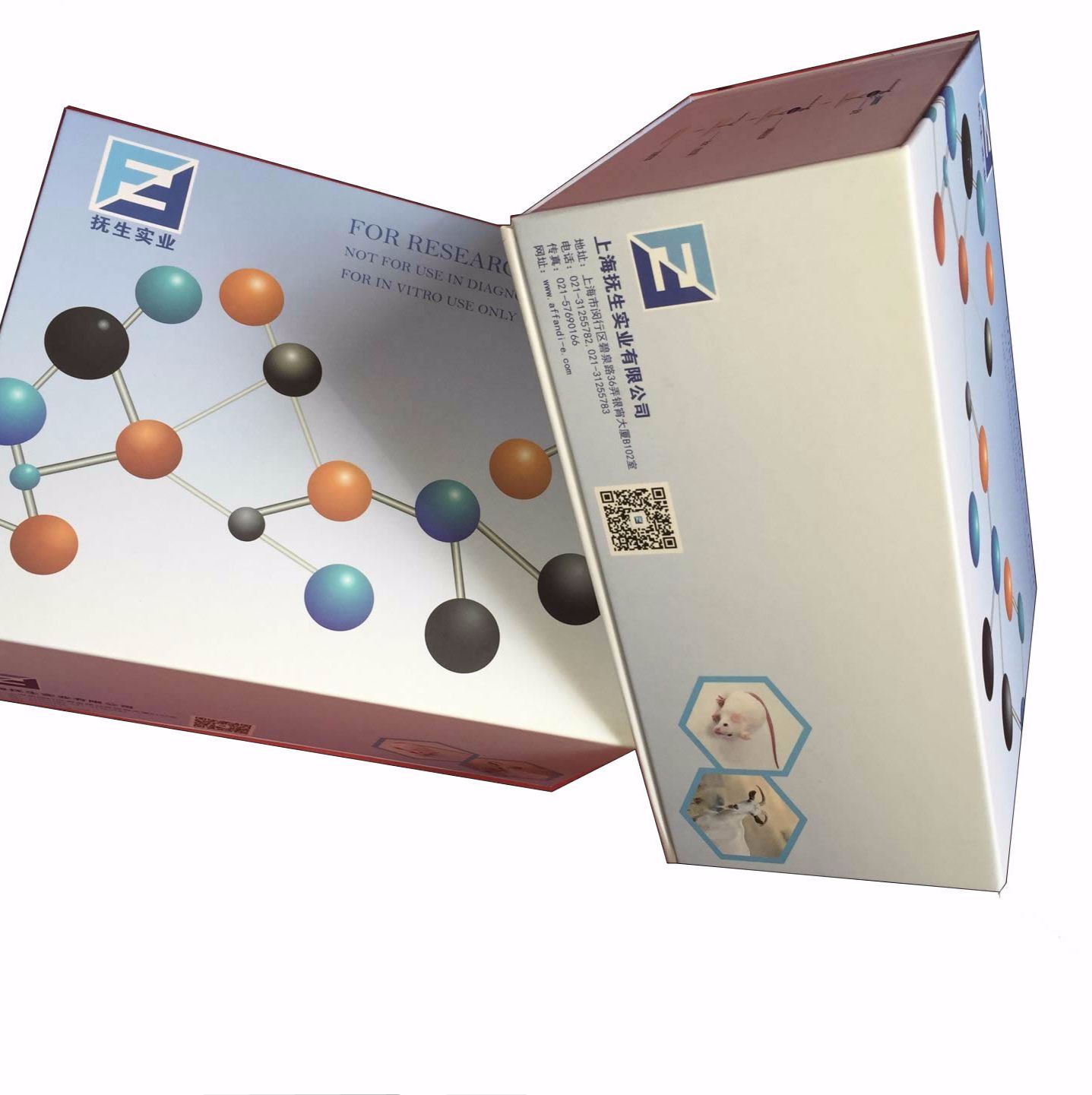 Human FBN1(Fibrillin 1) ELISA Kit