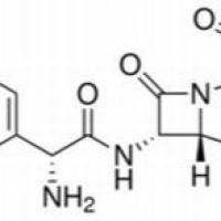 61336-70-7/	 阿莫西林三水物,	USP级，95%