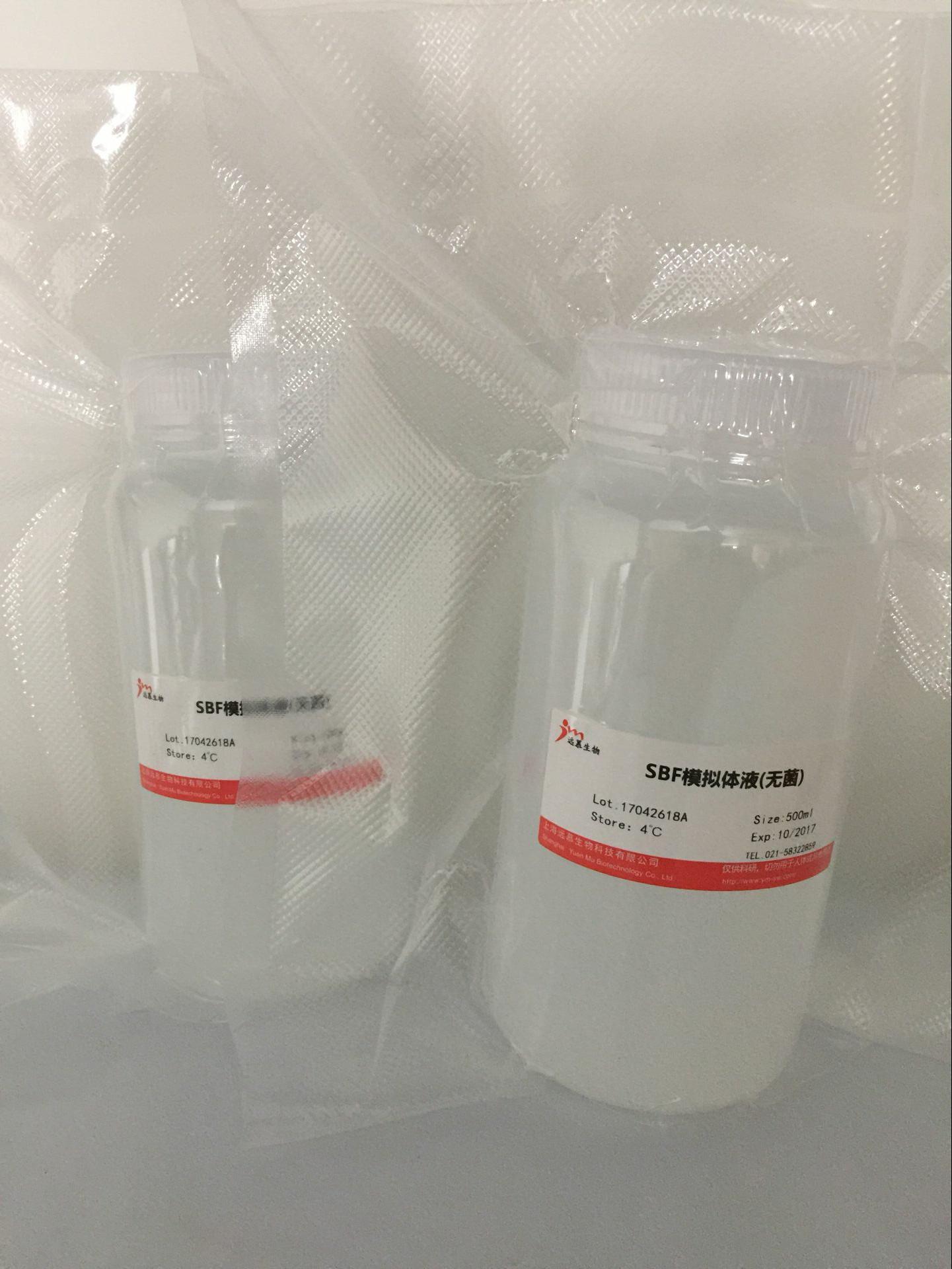 Western Blot实验攻略，值得一看！