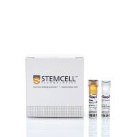 EasySep™人IL2富集试剂盒