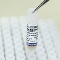 肝微粒体 Animal Liver Microsomes