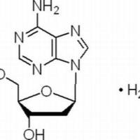 16373-93-6/	 2′-脱氧腺苷,	超纯，99%