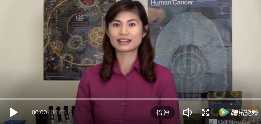 新闻图片2