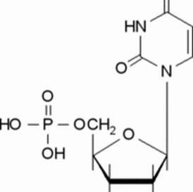 58-97-9/ 5-尿苷一磷酸 ,超纯,98%
