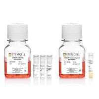 STEMdiff™肠道类器官试剂盒