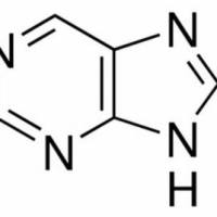 120-73-0/	 嘌呤 ,	特纯，98%