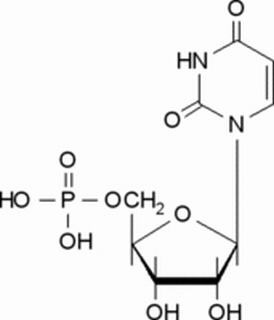 58-97-9/ 5-尿苷一磷酸 ,超纯,98%