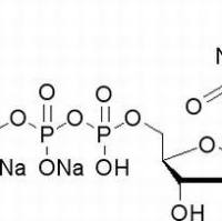 36051-68-0/5-胞苷三磷酸二钠盐 ,	高纯，95%