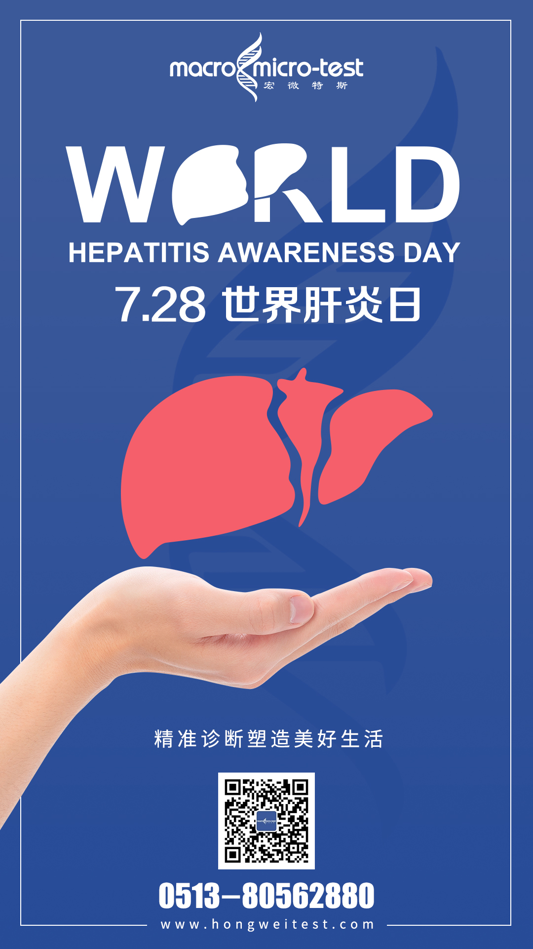 宏微特斯与您共同关注肝脏健康