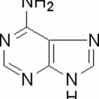73-24-5/ 腺嘌呤 , 高纯,98%