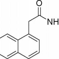 86-86-2/	 1-萘乙酰胺,	分析标准品,99%