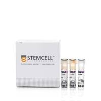 EasySep™人CD4+T细胞富集试剂盒