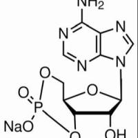 37839-81-9/	 环磷酸腺苷钠盐 ,高纯，98%